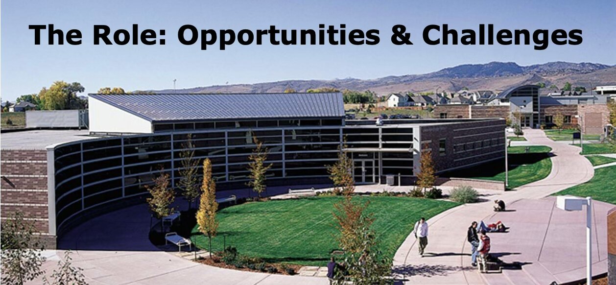 The Role Opportunities and Challenges